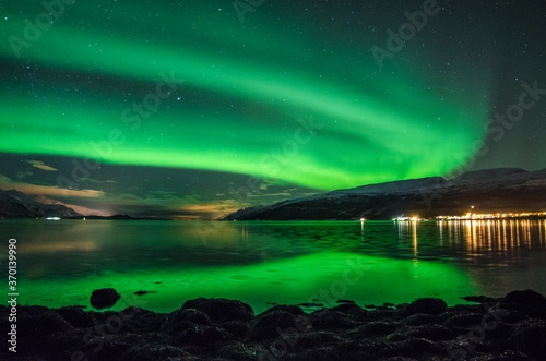 aurora borealis over the fjord