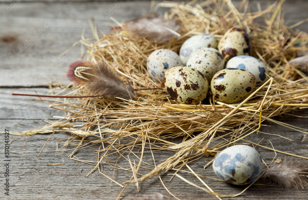 .Quail eggs in a nest made of straw on a wooden background
