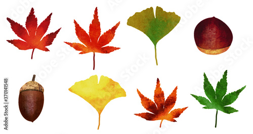  紅葉とどんぐりと栗の秋のイラスト素材セット
