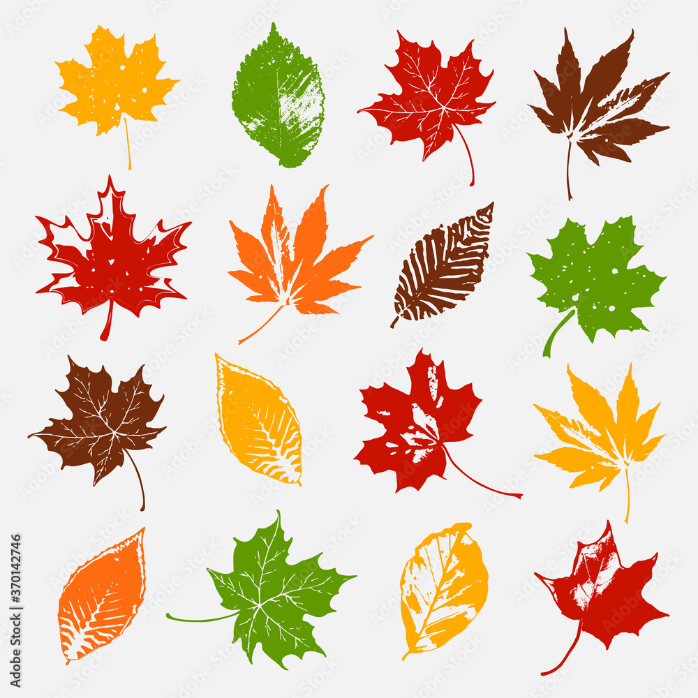 Grunge autumn leaves set illustration