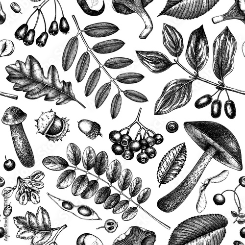 Hand sketched autumn plants seamless pattern. Vector leaves, berries, and mushrooms botanical background. Hand-drawn autumn garden backdrop. Vintage forest plants, mushrooms, fallen leaves sketches.
