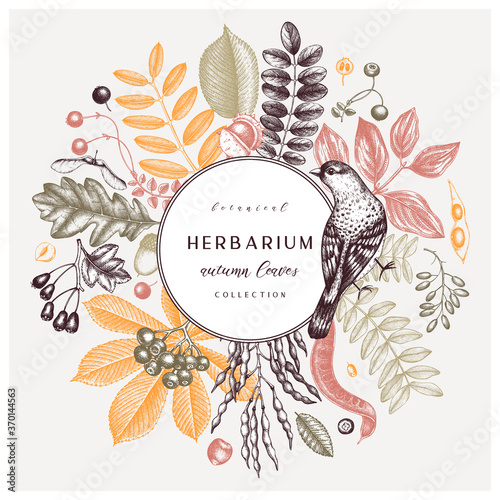 Hand sketched autumn leaves design in color. Elegant and trendy botanical template with autumn leaves, berries, seeds, and bird sketches. 