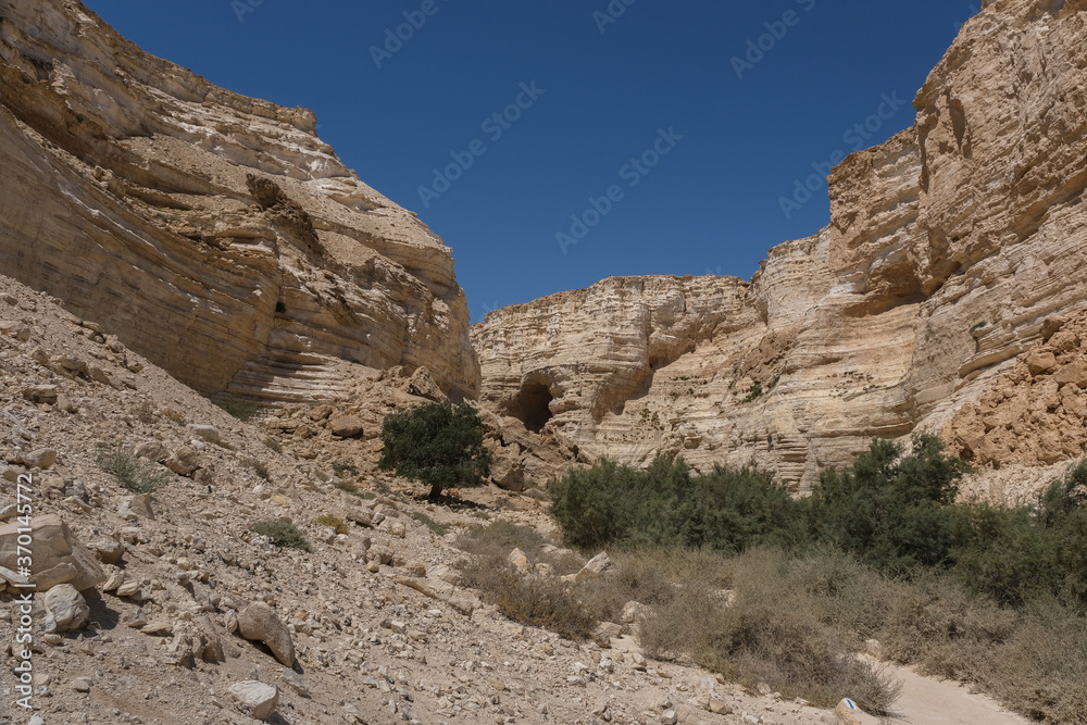 View of Ein Avdat National Park entrance into the deep canyon, carved by Zin streem, located at the foot of Midreshet Ben Gurion in Kibbutz Sde Boker, Negev desert, Israel.