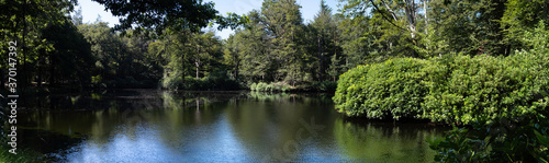 Small lake in a green deciduous forest full of sunlight and blue sky, reflections on the water, natural mirror. Tranquil landscape. Wide screen