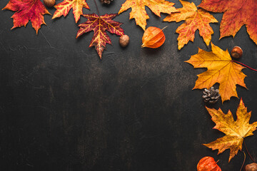 Autumn composition made of fall leaves, flowers, nuts, pine cones on black background. Flat lay, top view