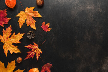 Autumn composition made of autumn leaves, flowers, nuts, pine cones on black background. Flat lay, top view