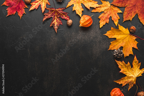 Autumn composition made of fall leaves, flowers, nuts, pine cones on black background. Flat lay, top view