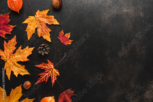 Autumn composition made of autumn leaves, flowers, nuts, pine cones on black background. Flat lay, top view