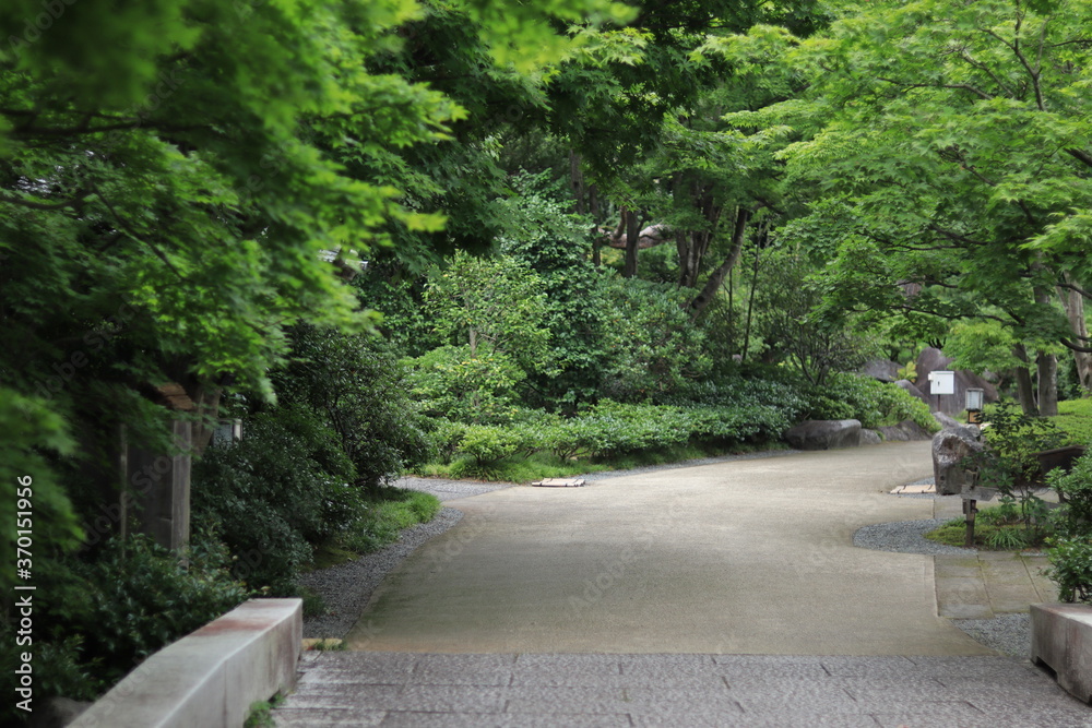 Various landscapes of Showakinen Park,japan,tokyo Various landscapes of Showakinen Park,japan,tokyo