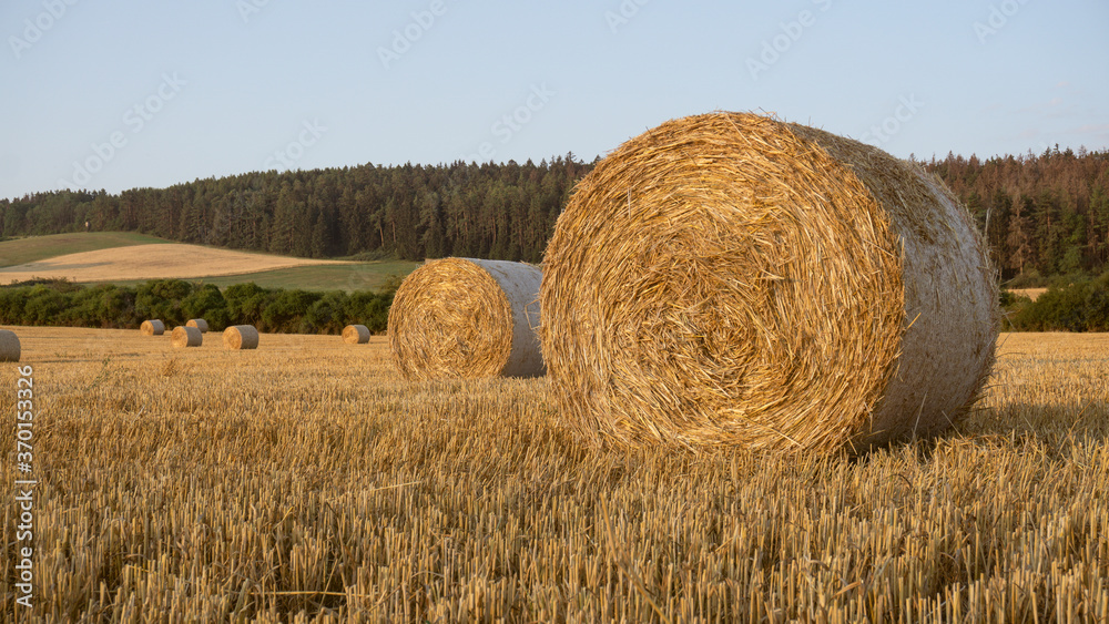 Ein Feld mit Strohballen am Morgen Ein Feld mit Strohballen am Morgen