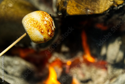 cooking marshmallow on wooden stick over fire. © Ilja