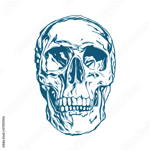 human skull illustration photo