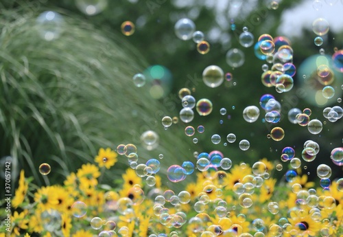 Sun flower and Soap bubble in Showakinen Park,japan,tokyo