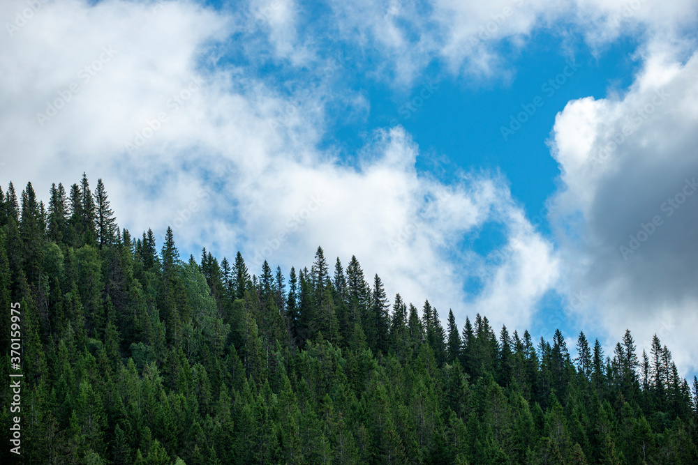 clouds over forest, åre, jämtland, sverige clouds over forest, åre, jämtland, sverige