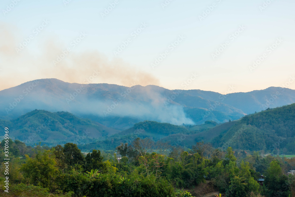Obraz premium forest fire smoke in northern of Thailand