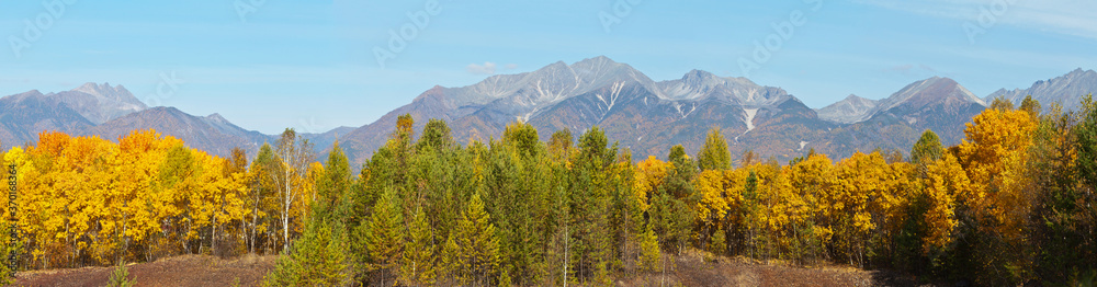 Panoramic view on a beautiful autumn forest of coniferous and deciduous trees on the background of mountains range on a sunny September day. Autumn traveling at a highland