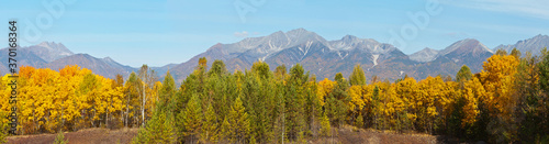 Panoramic view on a beautiful autumn forest of coniferous and deciduous trees on the background of mountains range on a sunny September day. Autumn traveling at a highland
