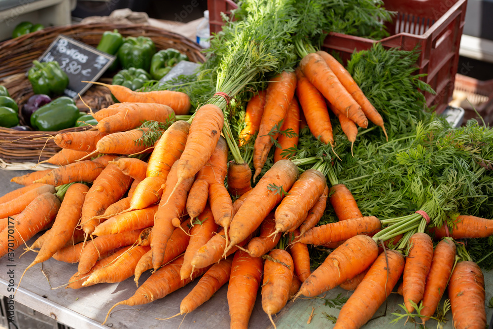 stack of carrot on market place, new ripe stack of carrot on market place, new ripe