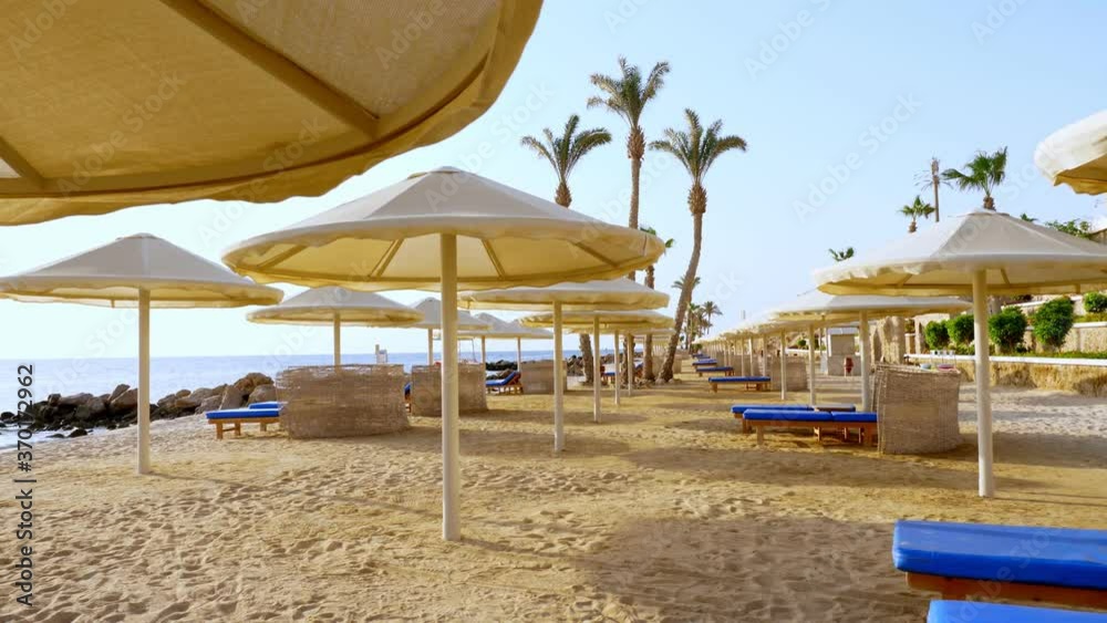 empty, deserted beach with palm trees, sun loungers and umbrellas of an expensive hotel, during or after a lockdown due to covid-19. reopening of hotels for tourists empty, deserted beach with palm trees, sun loungers and umbrellas of an expensive hotel, during or after a lockdown due to covid-19. reopening of hotels for tourists