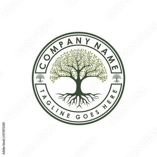 Family Tree of Life stamp seal logo design inspiration