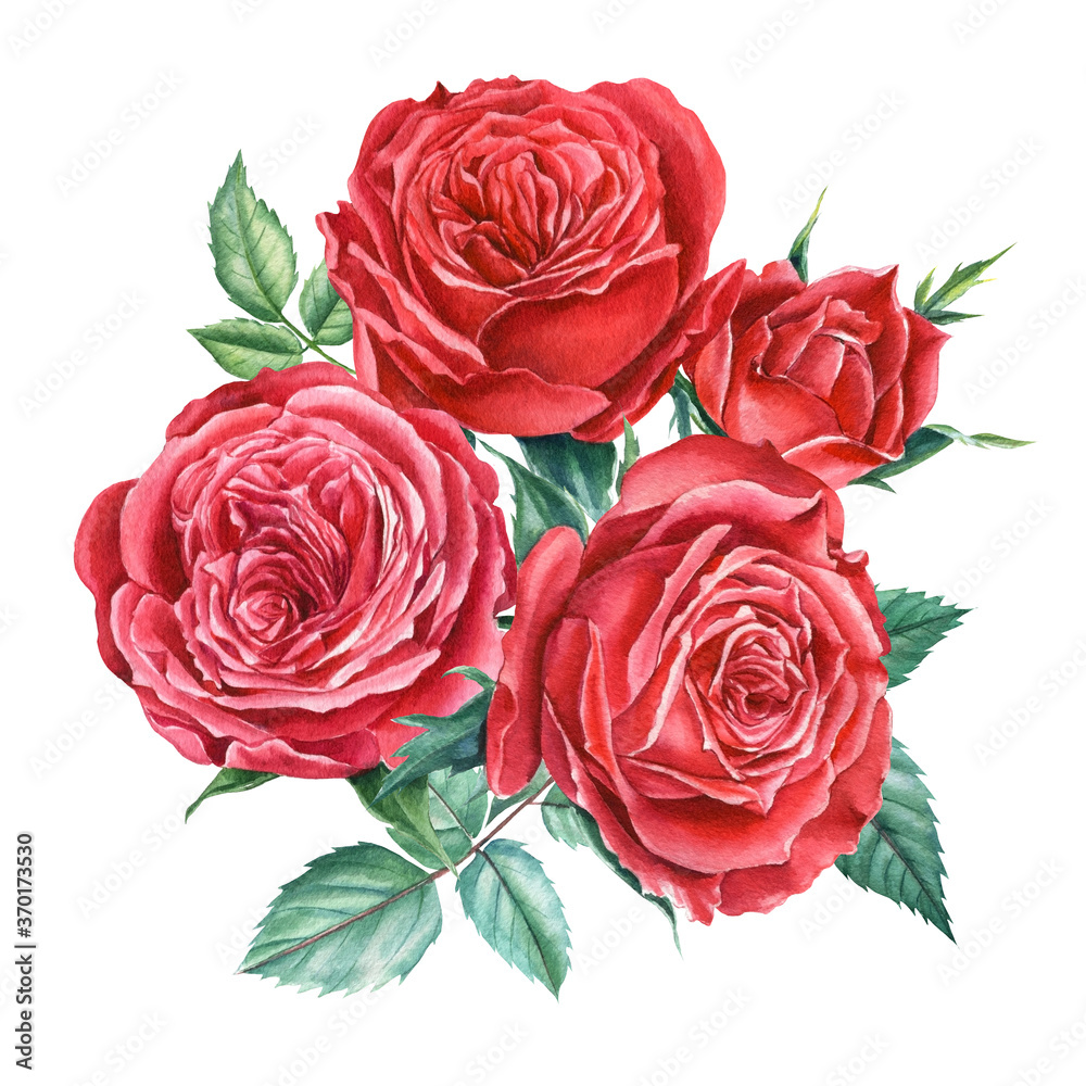 Bouquet red roses on isolated white background, watercolor clipart, hand drawing, botanical illustration Bouquet red roses on isolated white background, watercolor clipart, hand drawing, botanical illustration