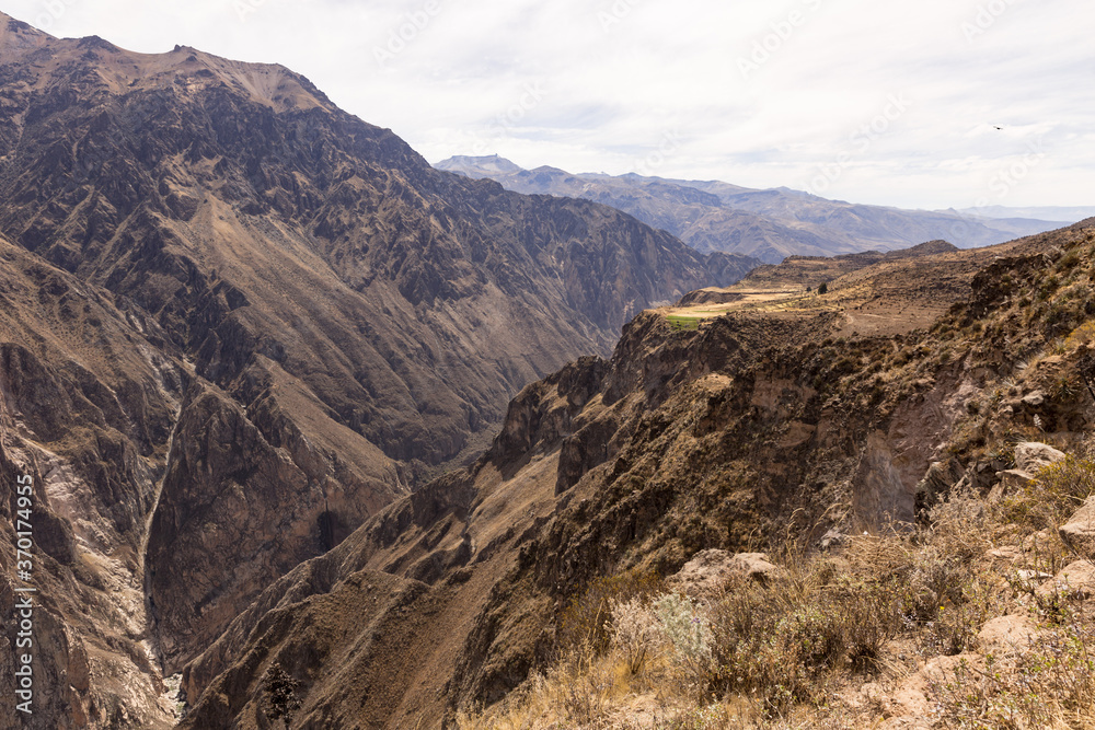 Panoramic view of Colca Canyon, in Peru.