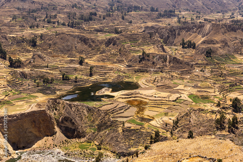 Panoramic view of Colca Canyon, in Peru.