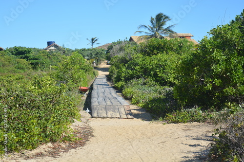 Way to the beach photo