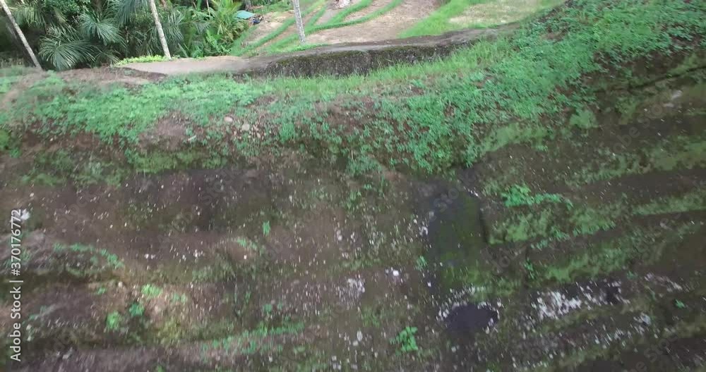4K AERIAL REVEAL RICE TERRACES - FLY THROUGH PALM TREES