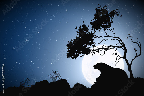 Bear under tree on night. Wild animal silhouette. Moon in starry sky