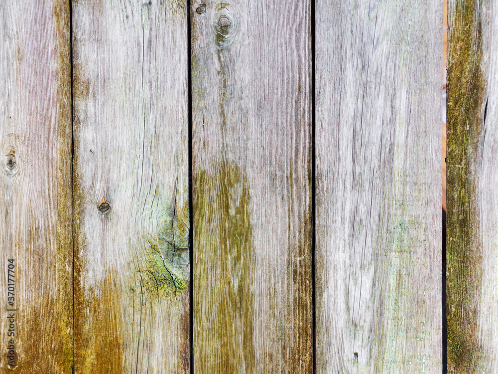 Old wood planks, perfect background for your concept or project. Old wood planks, perfect background for your concept or project.