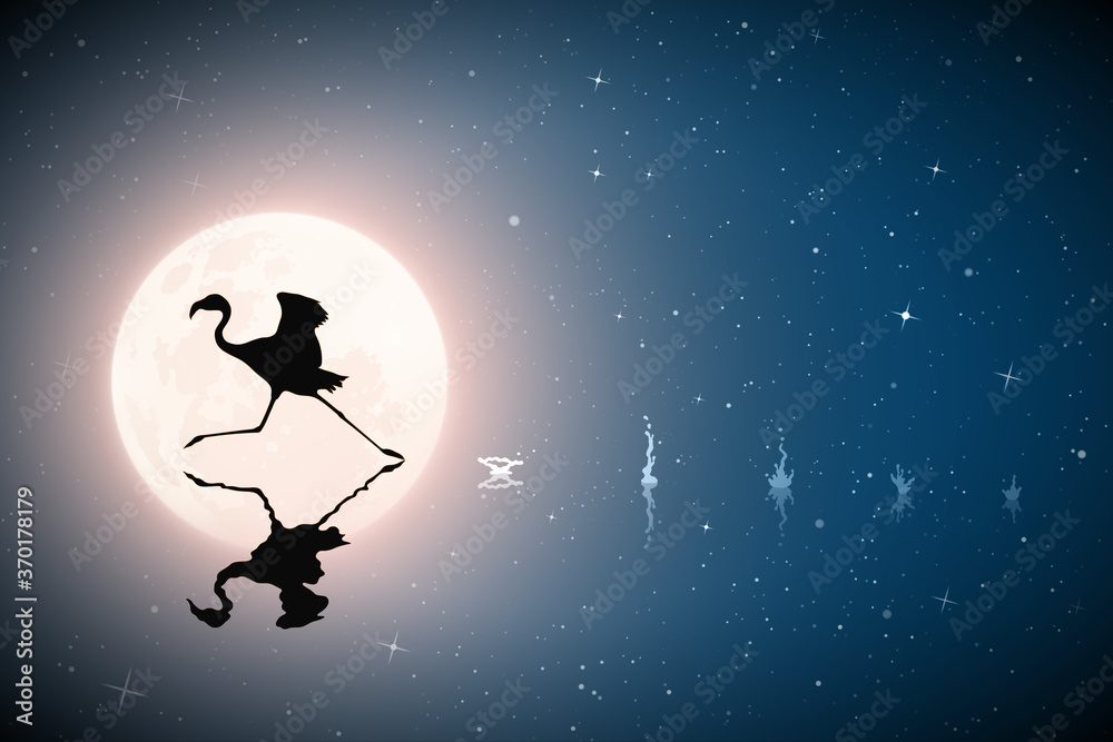 Lonely flamingo running on lake on moonlight night. Elegant bird silhouette and splashes on water. Full moon in starry sky. Vector illustration for use in polygraphy, textile, design, interior decor Lonely flamingo running on lake on moonlight night. Elegant bird silhouette and splashes on water. Full moon in starry sky. Vector illustration for use in polygraphy, textile, design, interior decor