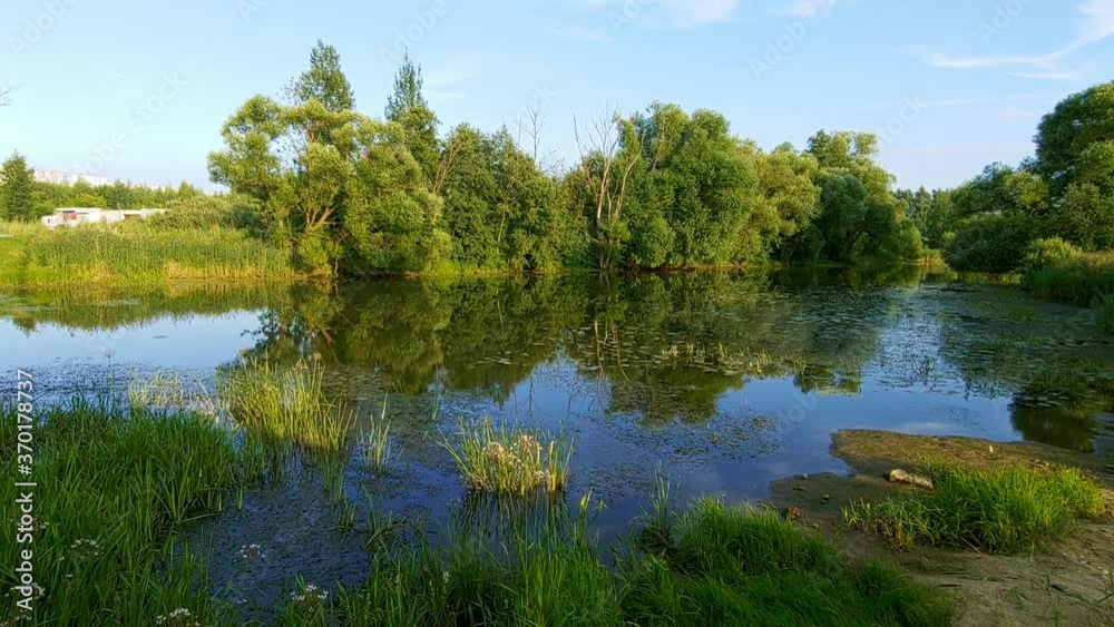 Small river with overgrown banks on a summer day