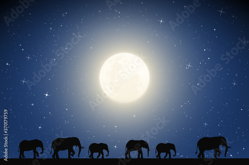 Elephant family walking in desert on moonlight night. Landscape with big animals silhouettes in savannah. Full moon in starry sky. Vector illustration for use in polygraphy, textile, design, decor