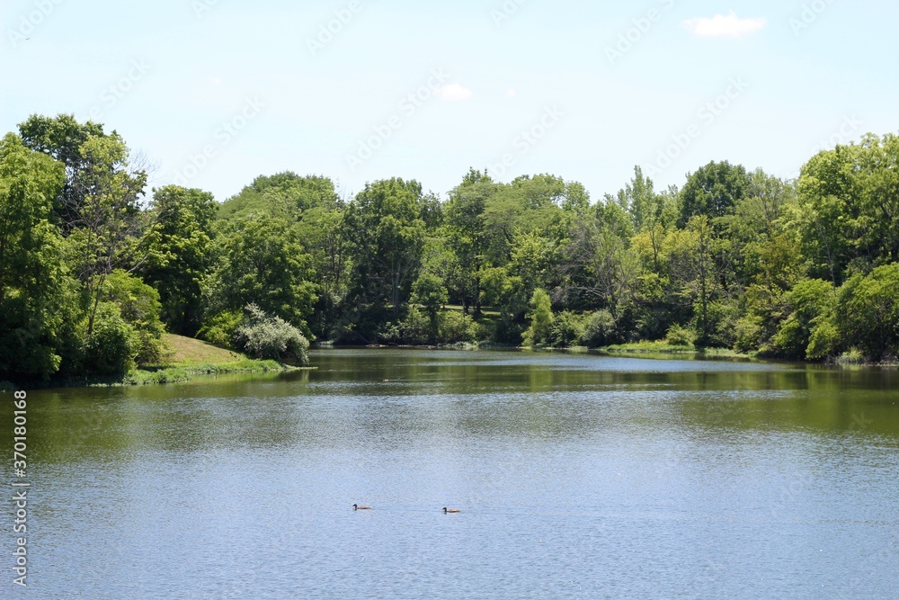 The beautiful quiet lake in the park on a bright sunny day.