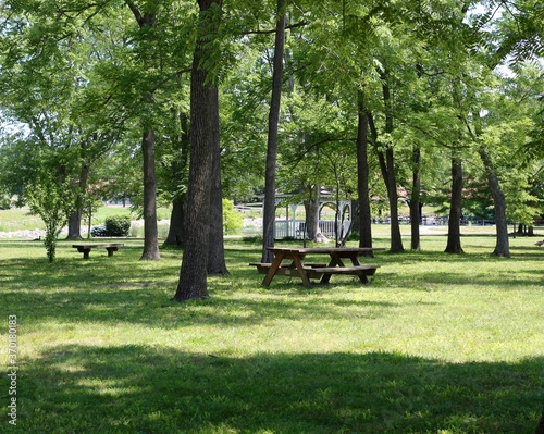 The picnic area under the trees in the park. © Al