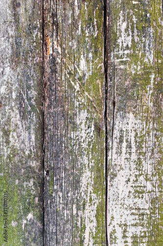 Old wood planks  perfect background for your concept or project.