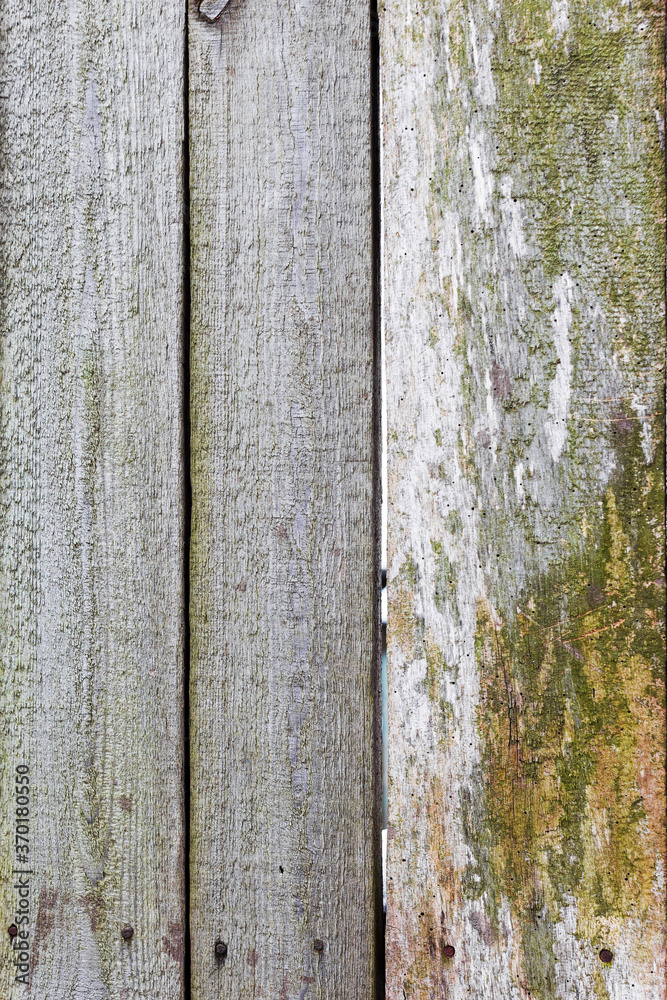 Fototapeta premium Background gloomy charred wooden fence in dark colors