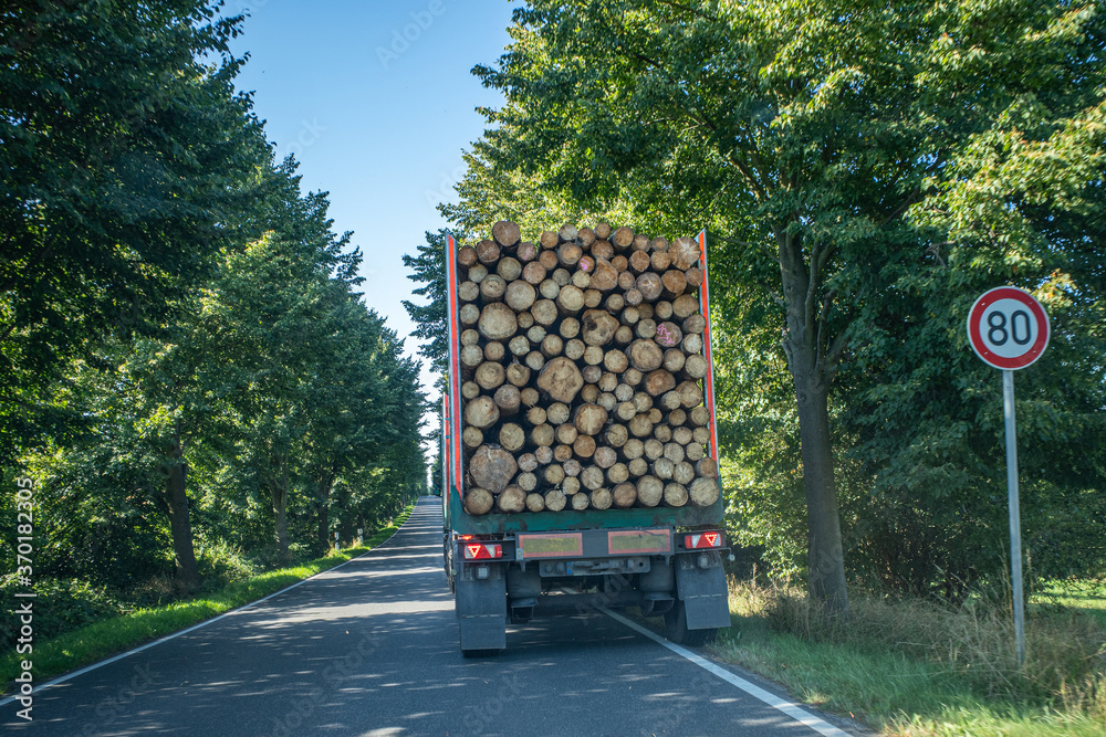  big truck loaded with many brown round logs drives over a small country road