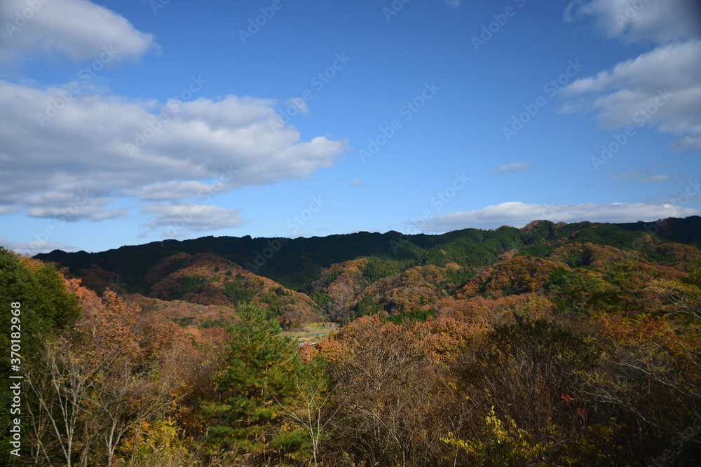 青い空と一面に広がる紅葉 青い空と一面に広がる紅葉