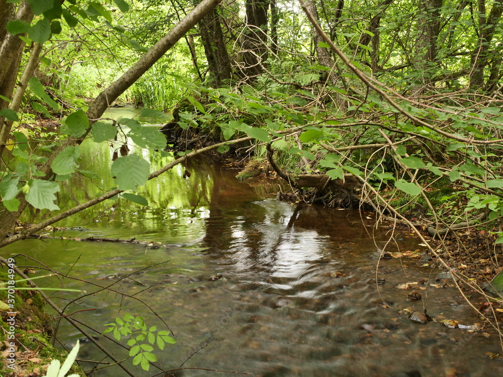 Bachlauf - Losheim am See