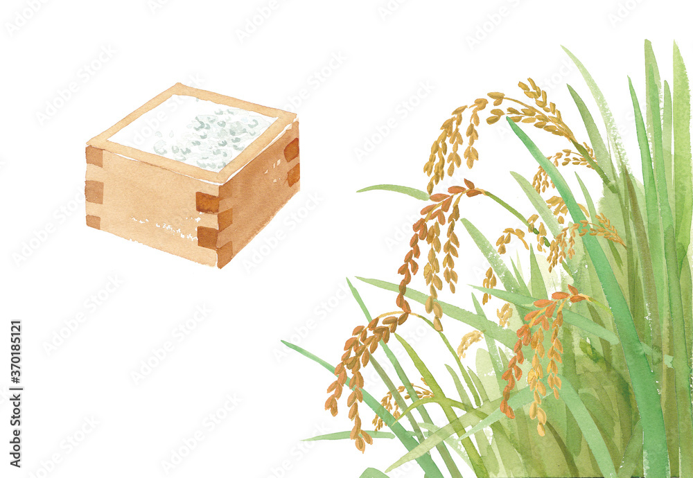 実った稲穂と一升枡の水彩イラスト Stock イラスト Adobe Stock 実った稲穂と一升枡の水彩イラスト Stock イラスト Adobe Stock