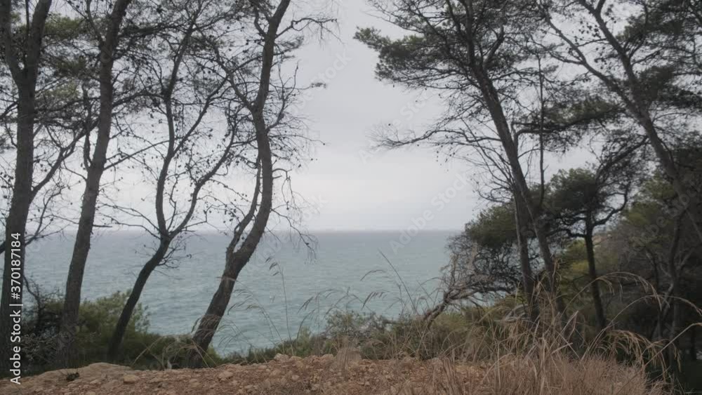View from the forest of the blue ocean and the Mediterranean sea on a sunny summer day View from the forest of the blue ocean and the Mediterranean sea on a sunny summer day