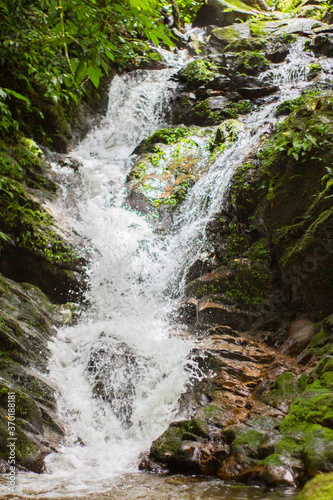 Deep forest waterfall stream view. Forest waterfall creek. Waterfall in deep forest. Waterfall river forest scene