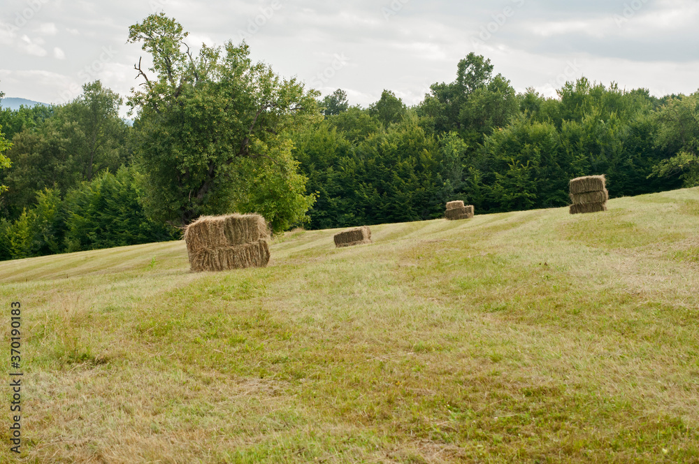 Bales of straw on mown mountain meadow