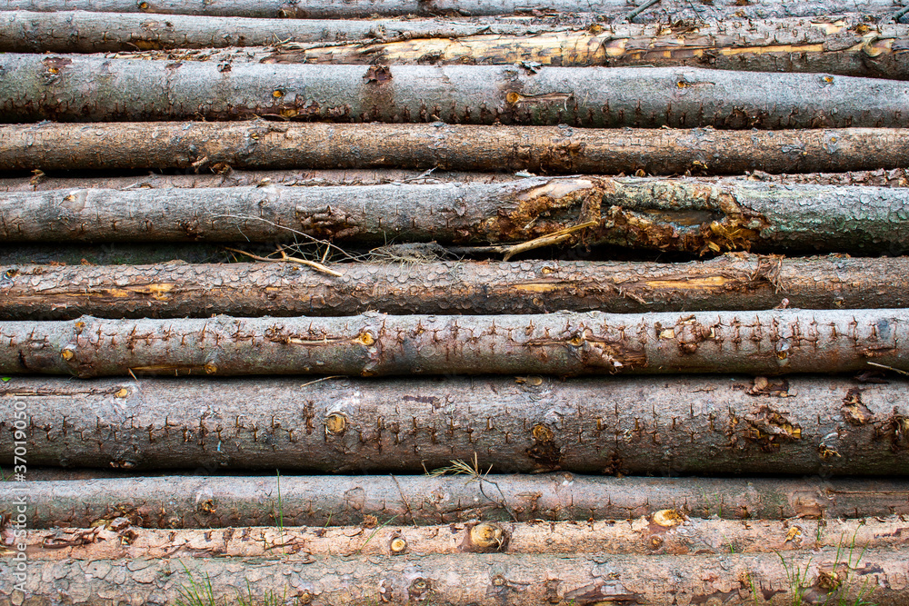 Big monumental pile / stack of wood logs. Log bark pattern / wallpaper / background / texture Big monumental pile / stack of wood logs. Log bark pattern / wallpaper / background / texture