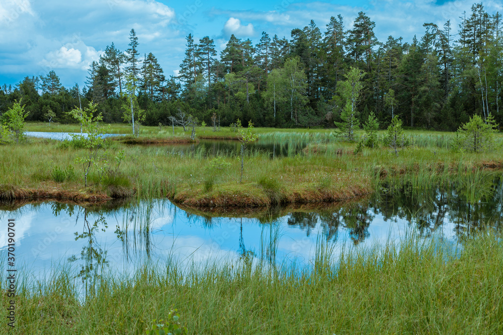 Wildsee ajuf dem Kaltenbronn