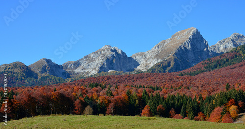 the beautiful autumn colors of the Belluno mountains, Italy