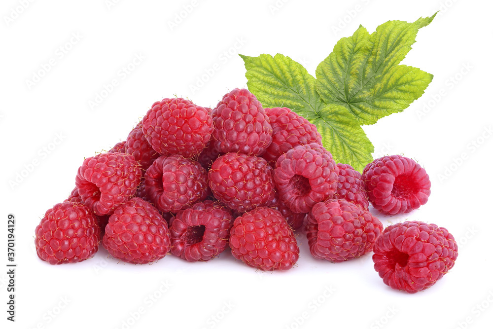 Pile of raspberries with twig isolated on white Pile of raspberries with twig isolated on white