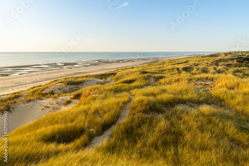 Fototapeta Naklejka Na Ścianę i Meble -  Les dunes entre Fort-Mahon et la baie d'Authie au soleil couchant
